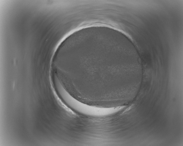 X0000061761518200512161730