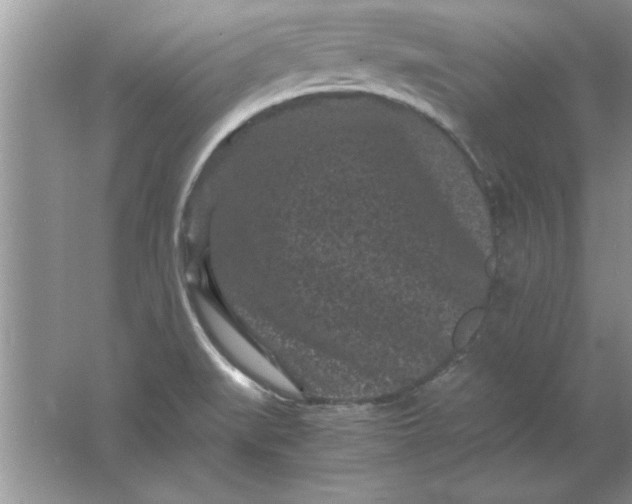 X0000061761519200512161730