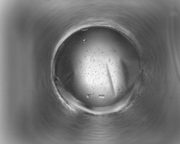 X0000061761520200512161730