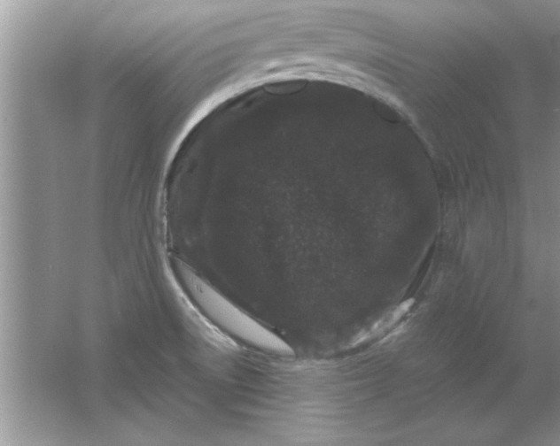 X0000061761522200512161730