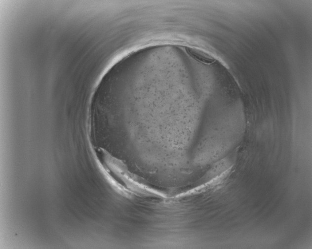 X0000061761523200512161730