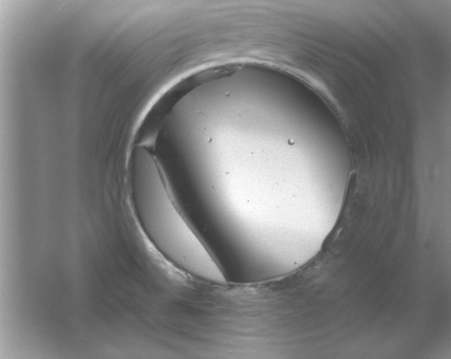 X0000061761524200512161730