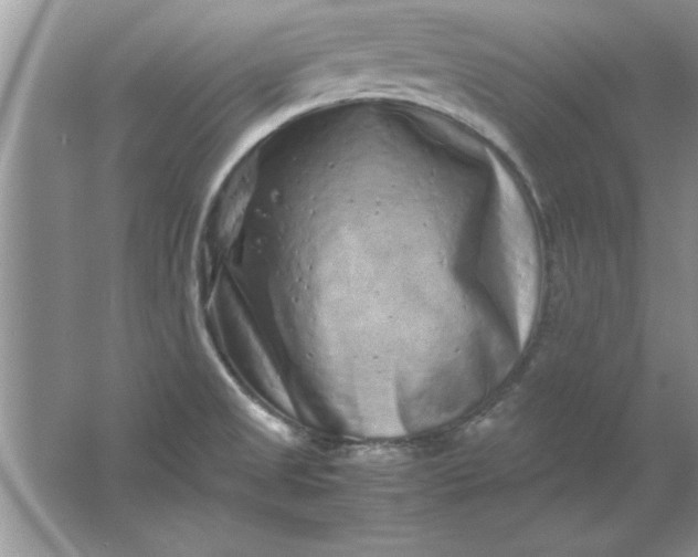 X0000061761525200512161730