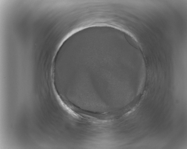 X0000061761526200512161730