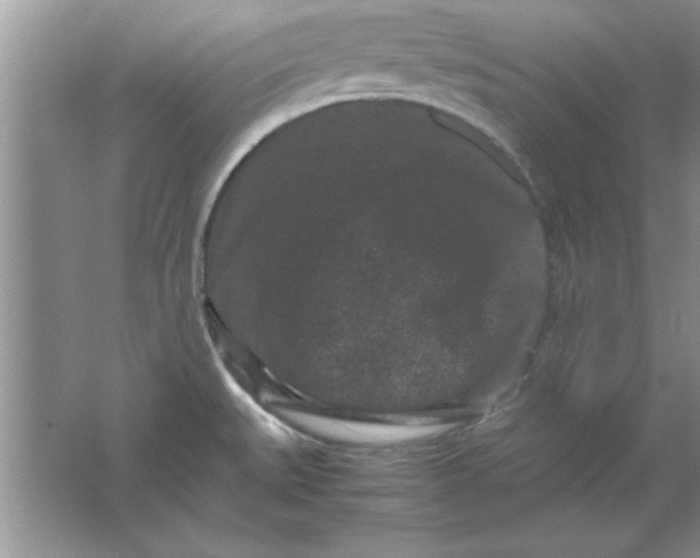 X0000061761527200512161730