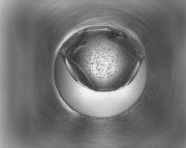 X0000061761528200512161730