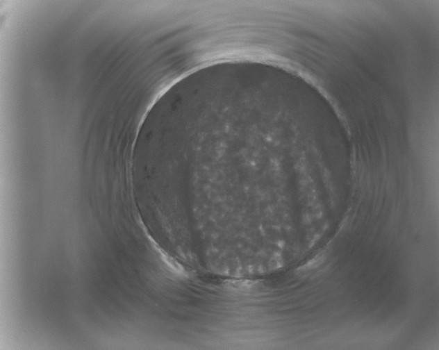 X0000061761529200512161730