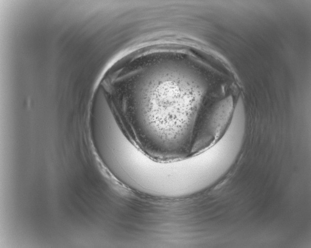 X0000061761530200512161730