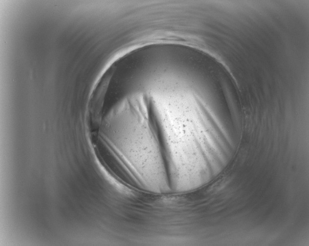 X0000061761531200512161730