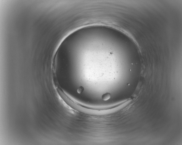 X0000061761532200512161730