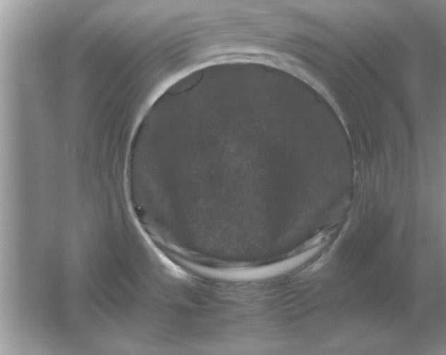 X0000061761533200512161730