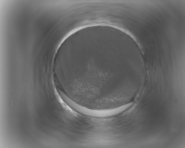 X0000061761534200512161730