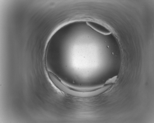 X0000061761536200512161730