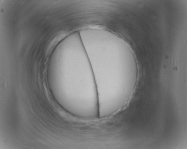 X0000061760001200512231603