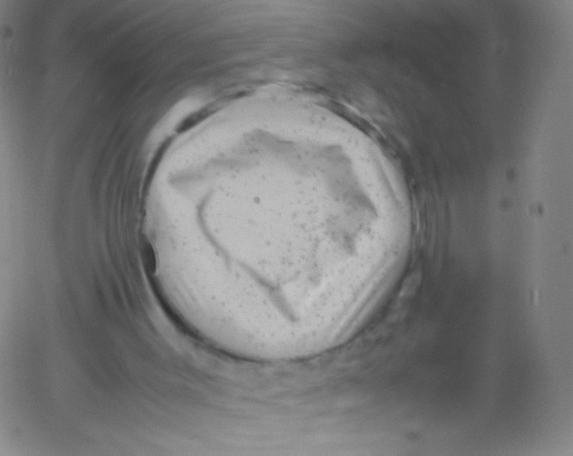 X0000061760003200512231603