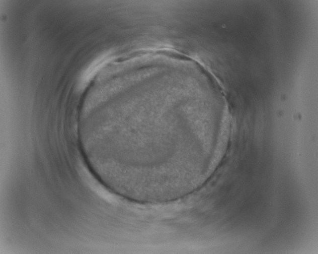 X0000061760005200512231603