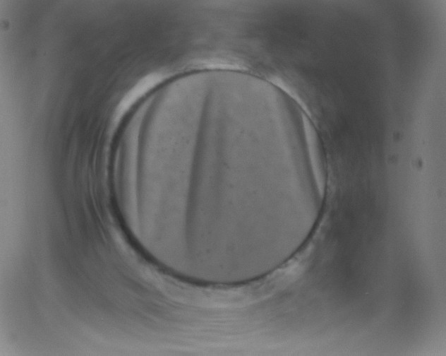 X0000061760008200512231603