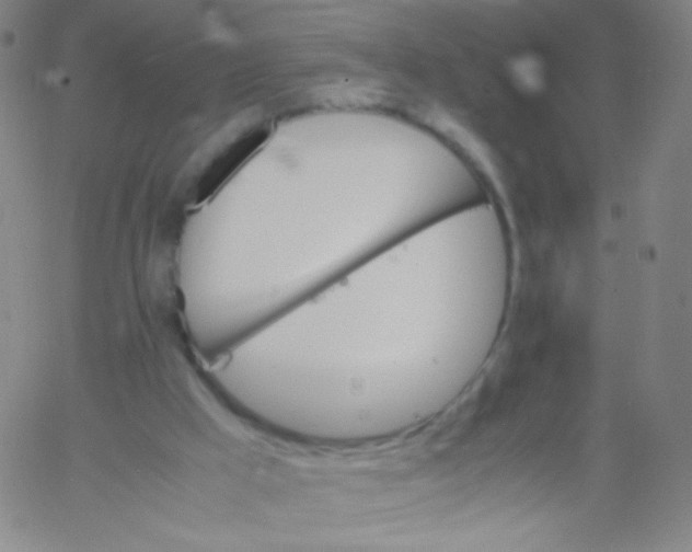 X0000061760009200512231603