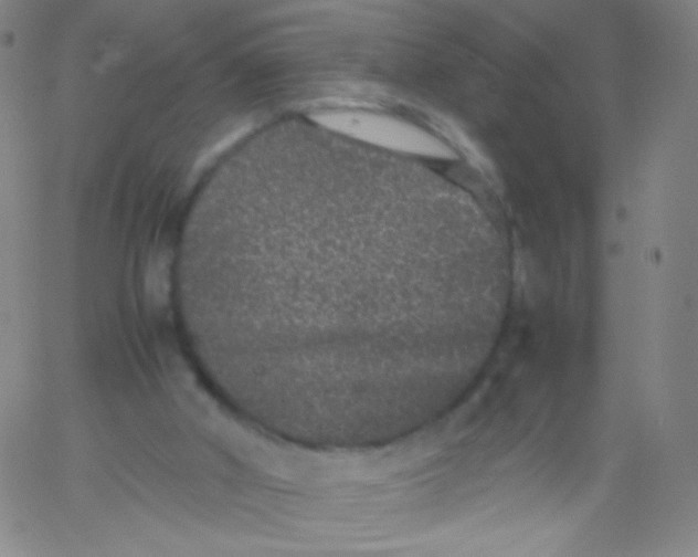 X0000061760010200512231602