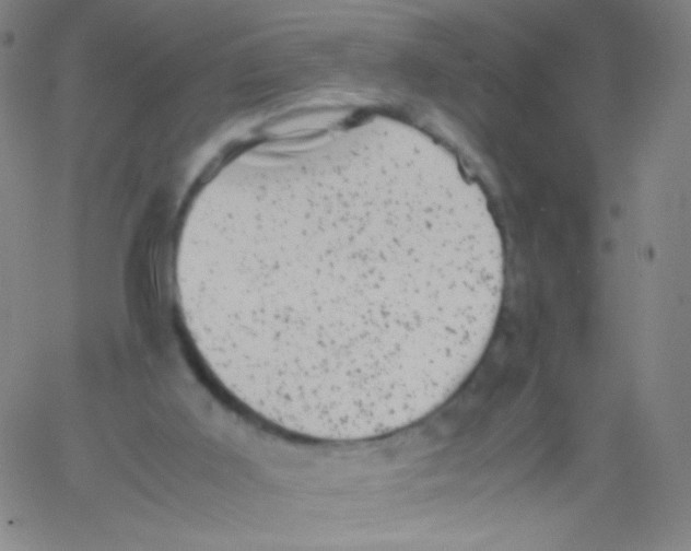 X0000061760011200512231602