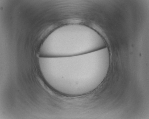 X0000061760013200512231602