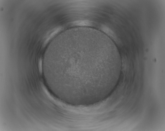 X0000061760014200512231602