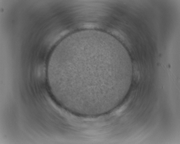 X0000061760016200512231602