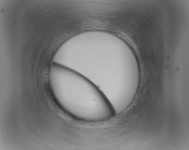 X0000061760017200512231602