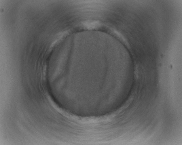 X0000061760018200512231602