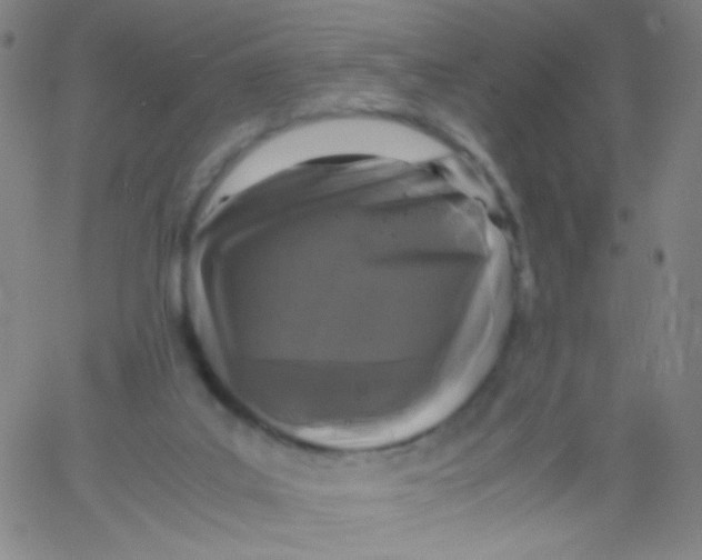 X0000061760019200512231602