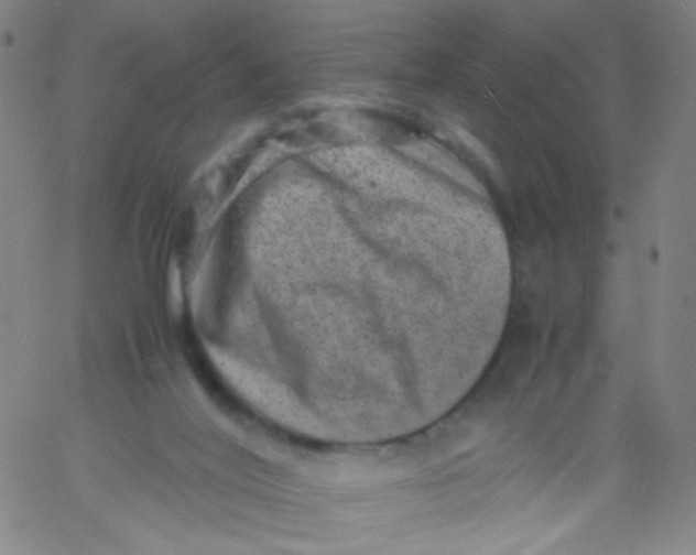 X0000061760020200512231602