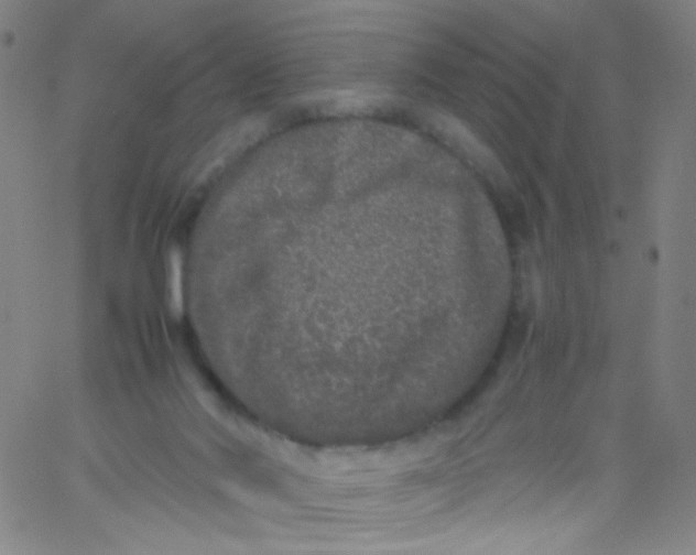 X0000061760022200512231602