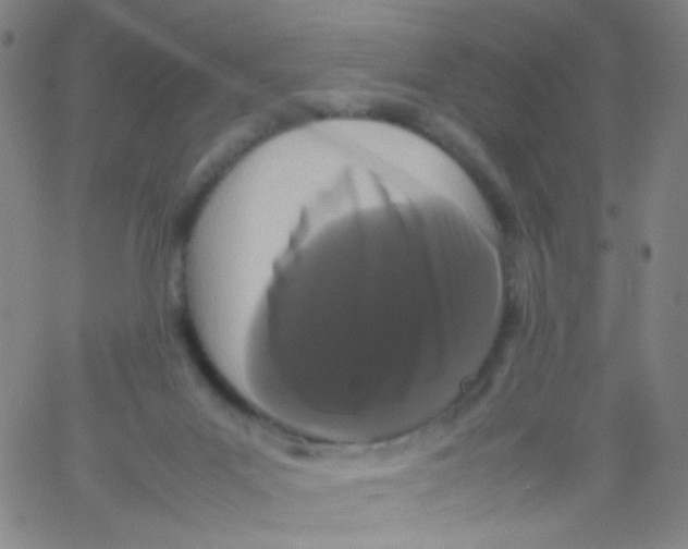 X0000061760023200512231602