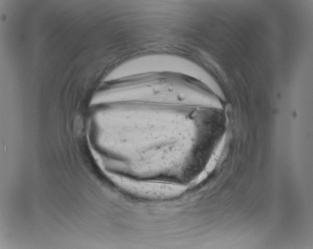 X0000061760025200512231602