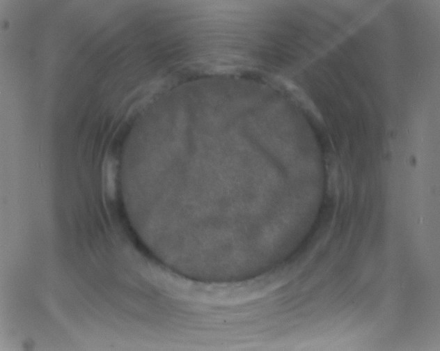 X0000061760026200512231602