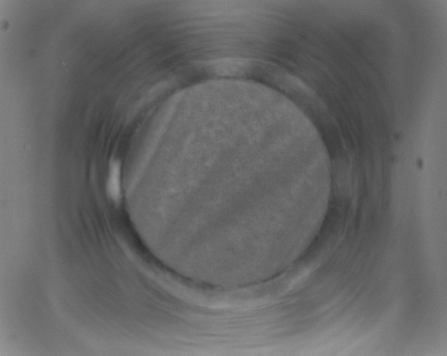 X0000061760028200512231602