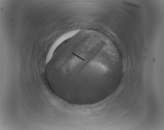 X0000061760029200512231602