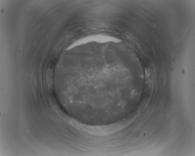 X0000061760030200512231602