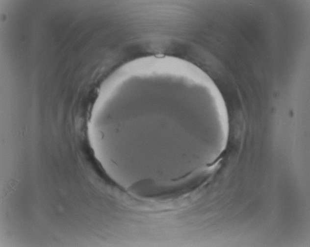 X0000061760031200512231602