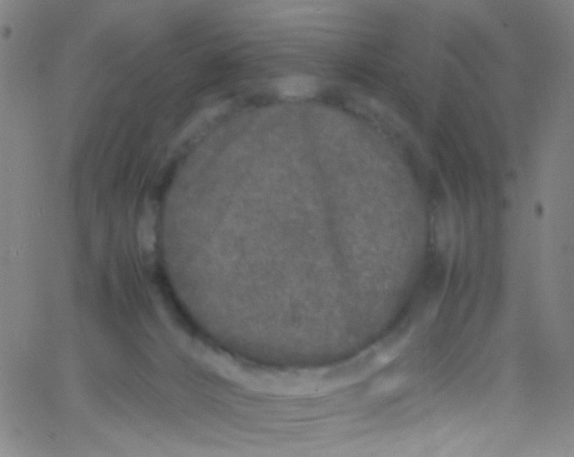 X0000061760032200512231602