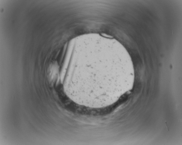 X0000061760033200512231602