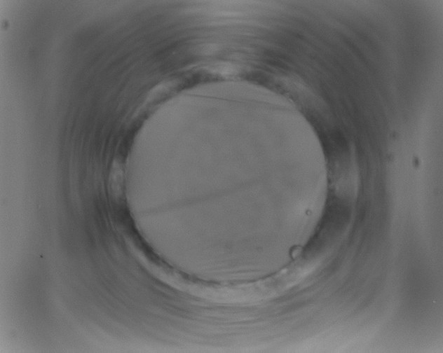 X0000061760036200512231602