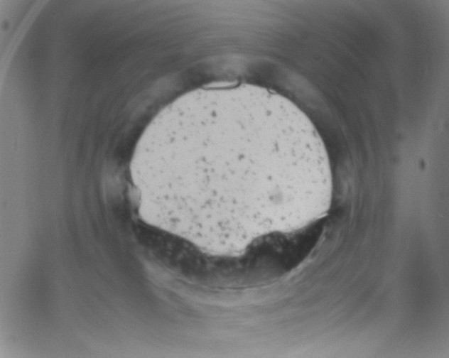 X0000061760037200512231602