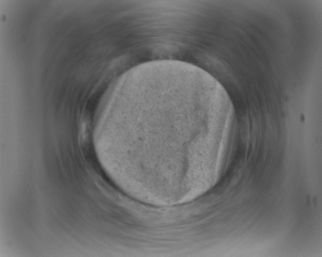 X0000061760038200512231602