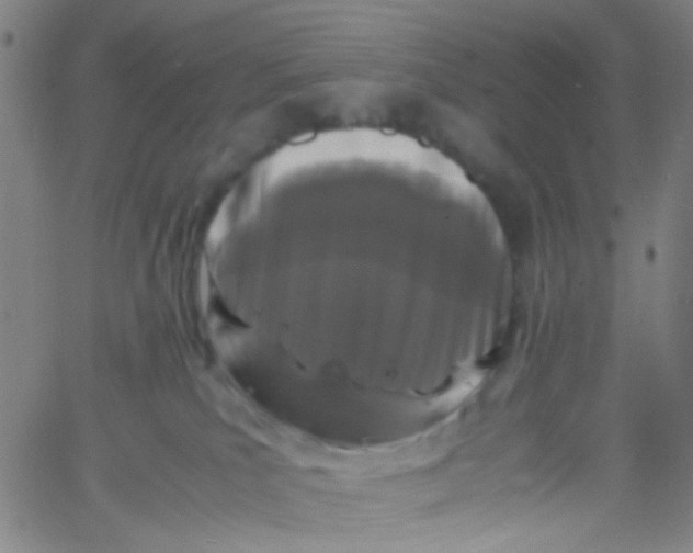 X0000061760039200512231602