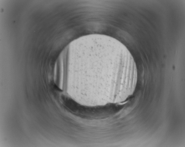 X0000061760040200512231602