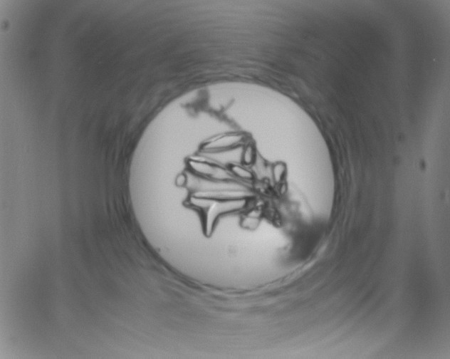 X0000061760041200512231602