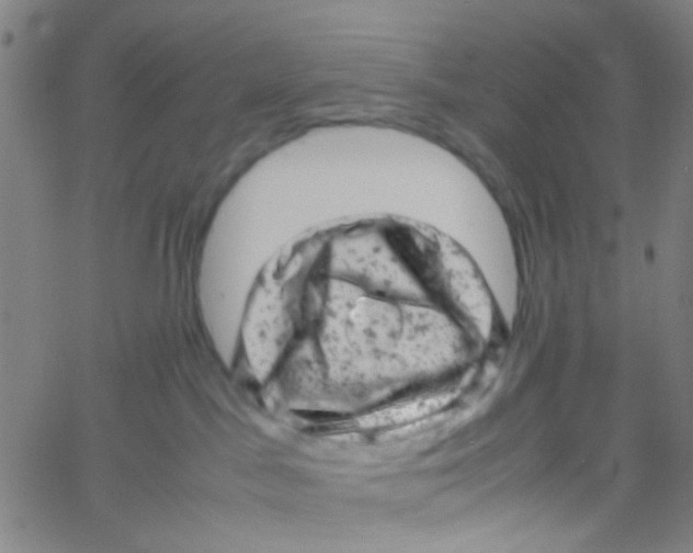 X0000061760045200512231602