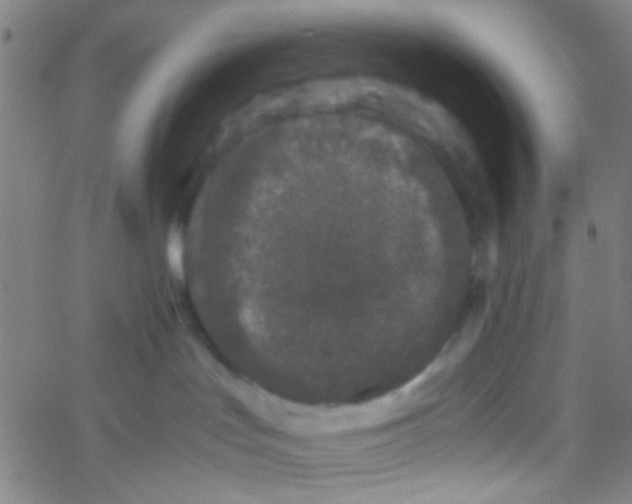 X0000061760047200512231602