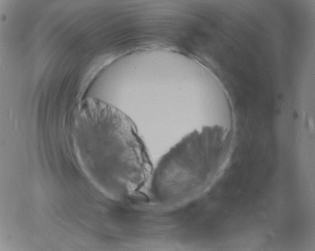 X0000061760049200512231601